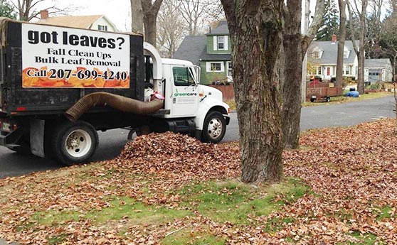 Fall Cleanup in Maine