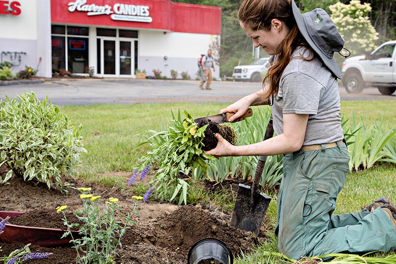 Planting Flowers Commercial Landscape Management in Southern Maine