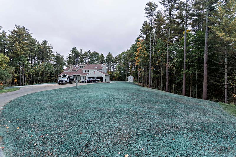 Maine lawn installation after hydroseeding - front of house
