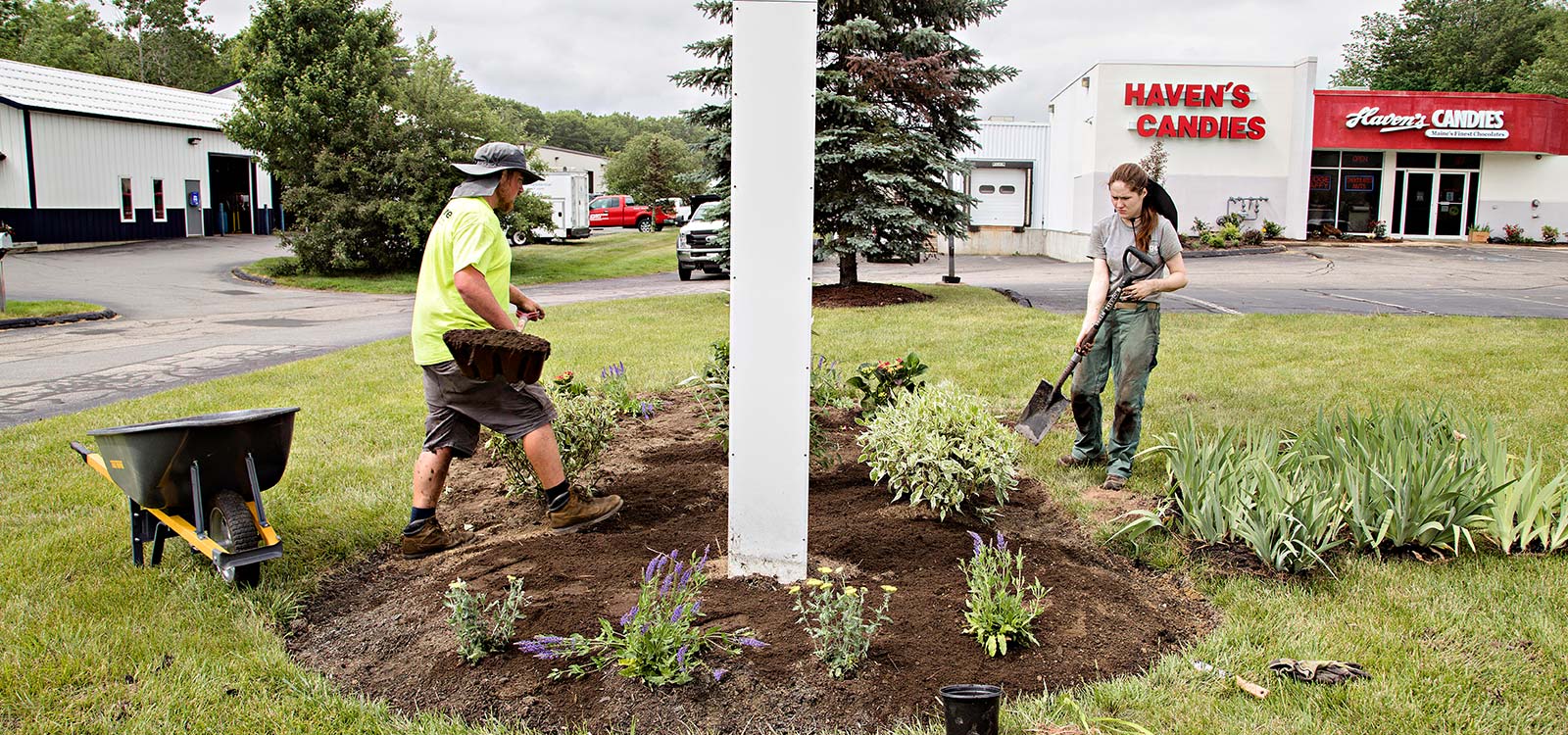 people using shovel for commercial landscaping in Maine