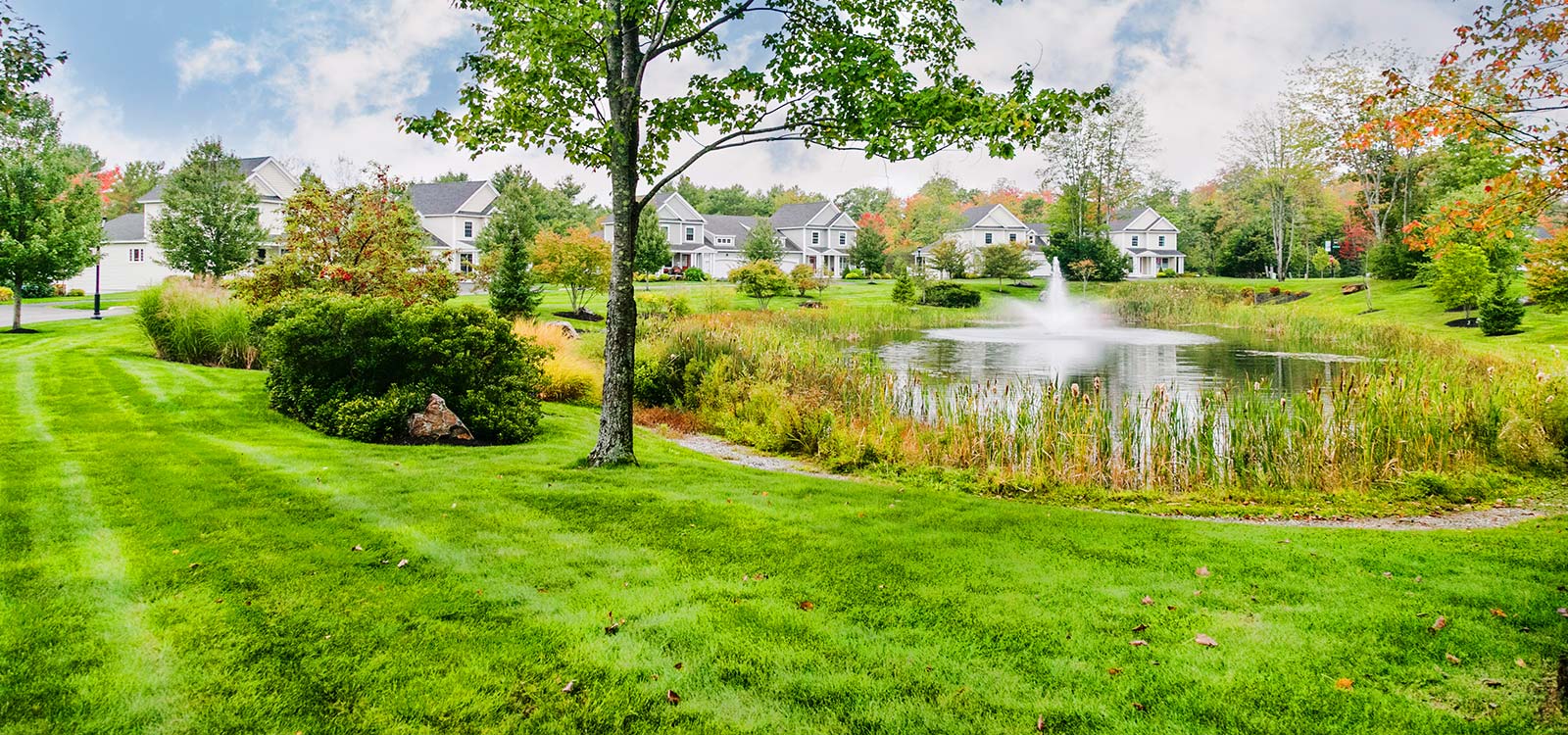 7 Tips for Growing Grass for Commercial Property in Maine